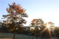 KW38 - Herbstliche Morgenstimmung in Mariapfarr