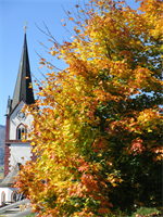 KW41 - Pfarrkirche im Herbst, Foto Franz Bader