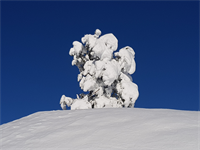 KW47 - Große Neuschneemengen am Berg, Franz Doppler