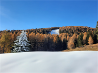 KW47 - Herbst und Winter am Fanningberg, Foto Cornelia Doppler.jpg